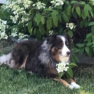 Meet your Posher, Stacey